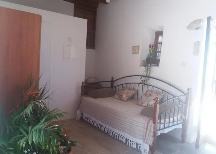 Georgia's House Fyti