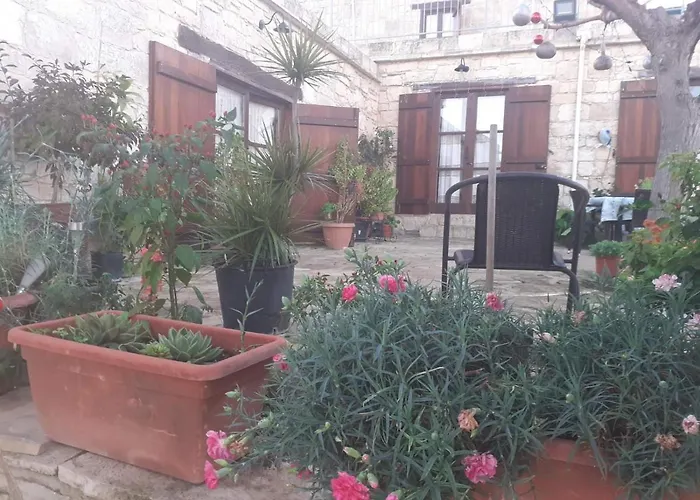 Georgia's House Fyti